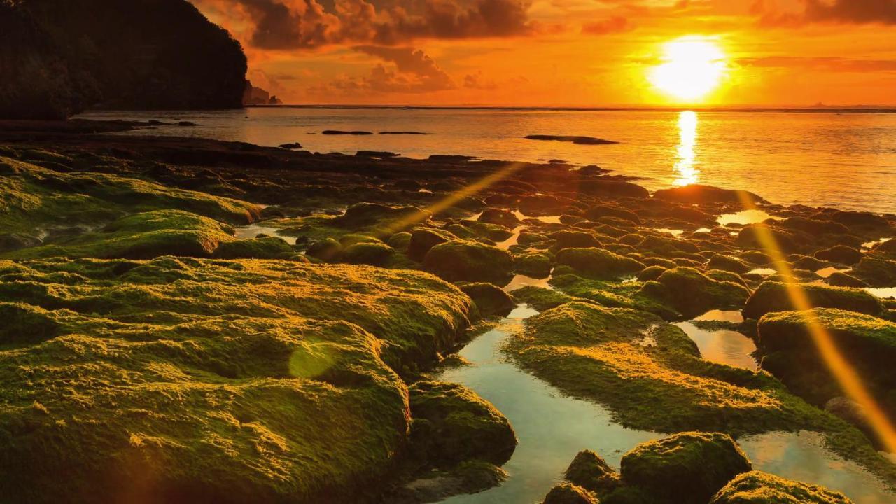 Bale Bingin Beachfront Stay Uluwatu Eksteriør billede